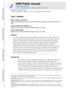 Type 1 diabetes