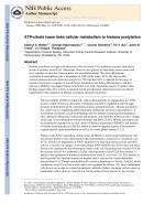 ATP-citrate lyase links cellular metabolism to histone acetylation