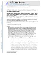 AMP-activated protein kinase mediates mitochondrial fission in response to energy stress