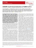 CRISPR-Cas12-based detection of SARS-CoV-2