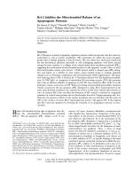 Bcl-2 Inhibits the Mitochondrial Release of an Apoptogenic Protease