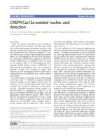 CRISPR-Cas12a-assisted nucleic acid detection