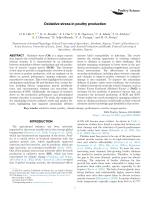 Oxidative stress in poultry production