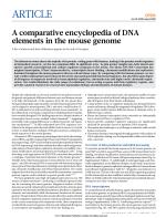 A comparative encyclopedia of DNA elements in the mouse genome