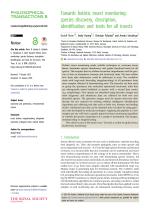 Towards holistic insect monitoring: species discovery, description, identification and traits for all insects