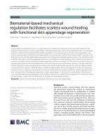 Biomaterial-based mechanical regulation facilitates scarless wound healing with functional skin appendage regeneration