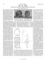 How We Think The Microscopic Structure of the Intellectual Portion of the Human Brain