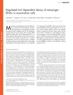 Regulated Ire1-dependent decay of messenger RNAs in mammalian cells