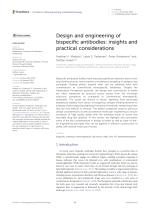 Design and engineering of bispecific antibodies: insights and practical considerations