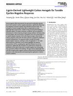Lignin-Derived Lightweight Carbon Aerogels for Tunable Epsilon-Negative Response