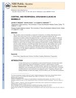 CENTRAL AND PERIPHERAL CIRCADIAN CLOCKS IN MAMMALS