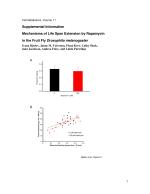 Mechanisms of Life Span Extension by Rapamycin in the Fruit Fly Drosophila melanogaster