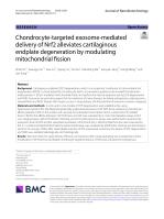 Chondrocyte-targeted exosome-mediated delivery of Nrf2 alleviates cartilaginous endplate degeneration by modulating mitochondrial fission