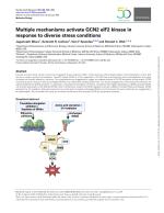 Multiple mechanisms activate GCN2 eIF2 kinase in response to diverse stress conditions