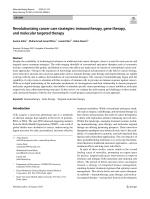 Revolutionizing cancer care strategies: immunotherapy, gene therapy, and molecular targeted therapy