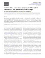Individualized social niches in animals: Theoretical clarifications and processes of niche change