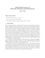 6.047/6.878 Lecture 10 Molecular Evolution and Phylogenetics