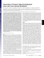 Generation of human induced pluripotent stem cells from dermal fibroblasts