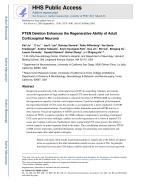 PTEN Deletion Enhances the Regenerative Ability of Adult Corticospinal Neurons