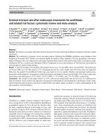 Ureteral stricture rate after endoscopic treatments for urolithiasis and related risk factors: systematic review and meta-analysis