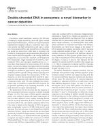 Double-stranded DNA in exosomes: a novel biomarker in cancer detection