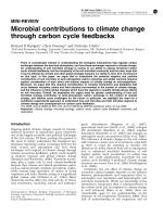 Microbial contributions to climate change through carbon cycle feedbacks