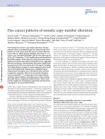 Pan-cancer patterns of somatic copy number alteration