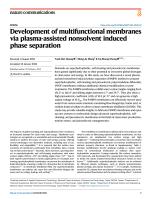 Development of multifunctional membranes via plasma-assisted nonsolvent induced phase separation