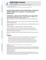 Itaconate impairs immune control of Plasmodium by enhancing mtDNA-mediated PD-L1 expression in monocyte-derived dendritic cells