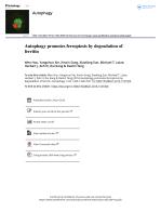 Autophagy promotes ferroptosis by degradation of ferritin