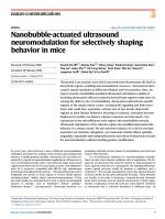 Nanobubble-actuated ultrasound neuromodulation for selectively shaping behavior in mice