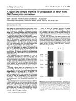 A rapid and simple method for preparation of RNA from Saccharomyces cerevisiae