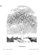 A Self-Adjusting Search Tree