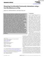 Dissecting Gut-Microbial Community Interactions using a Gut Microbiome-on-a-Chip