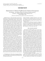 Mechanisms of Human Papillomavirus-Induced Oncogenesis