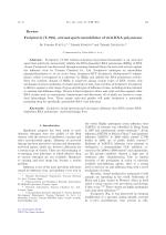 Favipiravir (T-705), a broad spectrum inhibitor of viral RNA polymerase