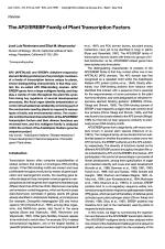 The AP2/EREBP Family of Plant Transcription Factors