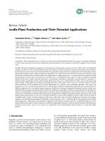 Azolla Plant Production and Their Potential Applications