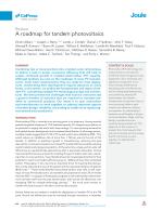 A roadmap for tandem photovoltaics