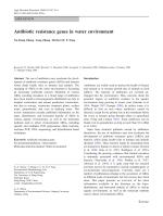 Antibiotic resistance genes in water environment