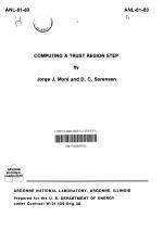 Computing a Trust Region Step