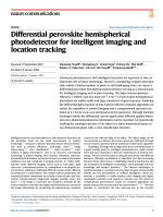 Differential perovskite hemispherical photodetector for intelligent imaging and location tracking