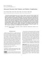 Advanced Glycation End Products and Diabetic Complications