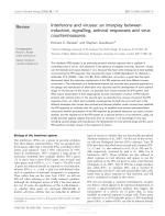 Interferons and viruses: an interplay between induction, signalling, antiviral responses and virus countermeasures