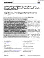 Engineering Nitrogen-Doped Carbon Quantum Dots: Tailoring Optical and Chemical Properties through Selection of Nitrogen Precursors