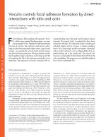 Vinculin controls focal adhesion formation by direct interactions with talin and actin