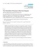 The Critical Role of Potassium in Plant Stress Response