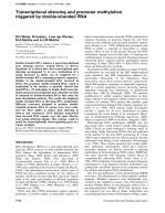 Transcriptional silencing and promoter methylation triggered by double-stranded RNA