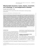 Mitochondrial dynamics—fusion, fission, movement, and mitophagy—in neurodegenerative diseases
