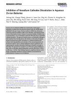 Inhibition of Vanadium Cathodes Dissolution in Aqueous Zn-Ion Batteries
